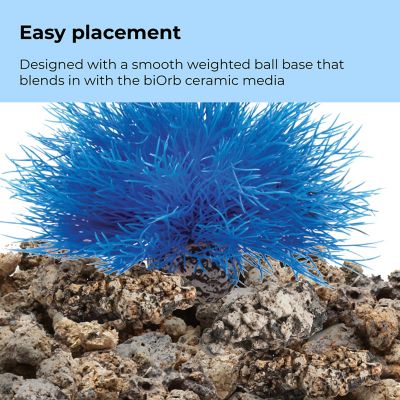 Image showing  Blue Sea Lily Aquarium Decor