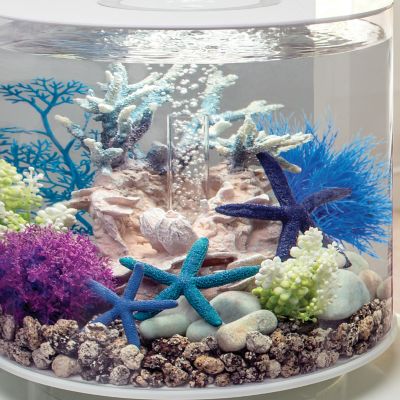 Image showing 5 th biOrb Blue Sea Lily Aquarium Decor