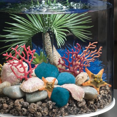 Image showing 6 th biOrb Blue Sea Lily Aquarium Decor