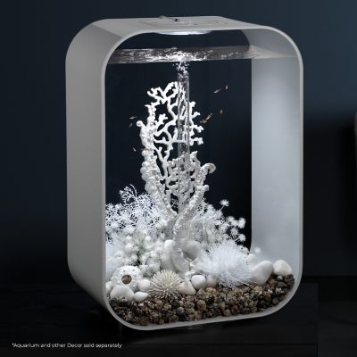 Image showing  White Sea Lily Aquarium Decor