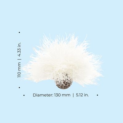 Image showing  White Sea Lily Aquarium Decor