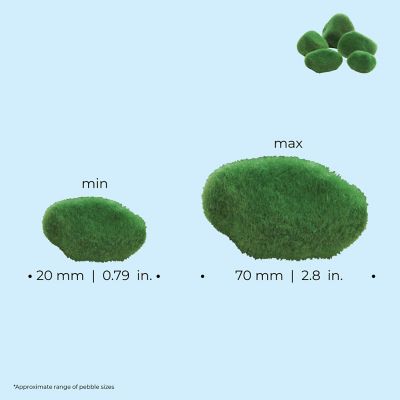 Image showing  Green Moss Pebbles Set