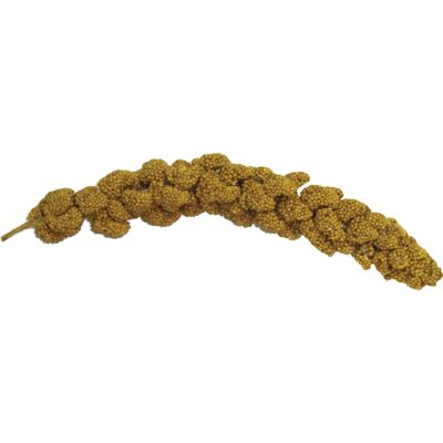 Image showing  Extreme! Natural Millet Spray Bird Treat, 7 oz.