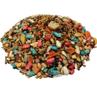 Image showing  Extreme! Trail Mix Small Bird Treat, 4 oz.