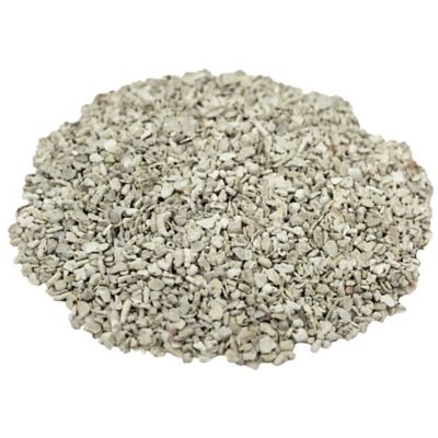 Image showing  Encore Natural Avian Grit, 20 oz.