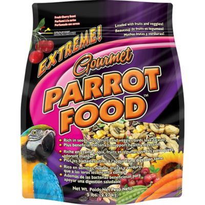 size of maltese dogs