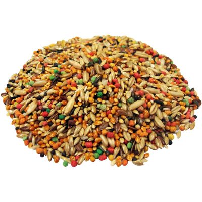 Image showing  Premium Canary and Finch Food, 1 lb.