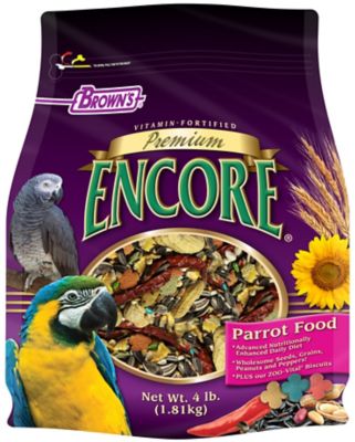 parrot food