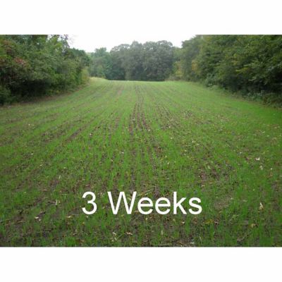 Image showing  5 ft. 3-Point Seed Spreader for Category 1 Tractors