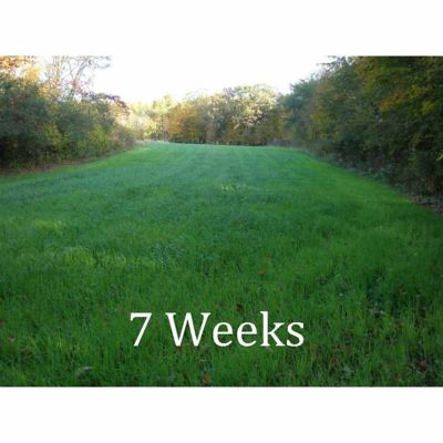 Image showing  5 ft. 3-Point Seed Spreader for Category 1 Tractors