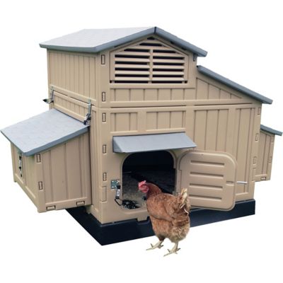 Image showing  Plastic Chicken Coop, 15 Chicken Capacity, Large