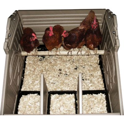 Image showing  Regular Plastic Chicken Coop, 6 Chicken Capacity