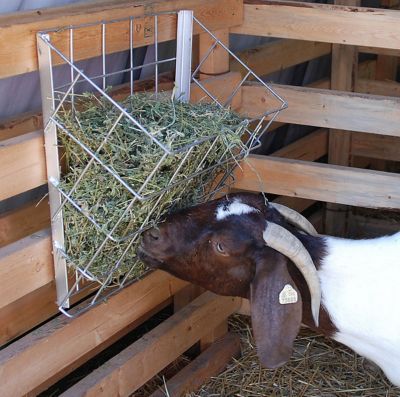 Image showing  Sheep and Goat Basket Feeder