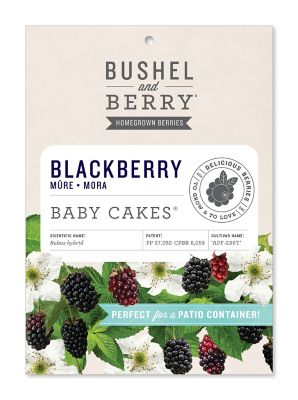 Bushel and Berry Blackberry Baby Cakes