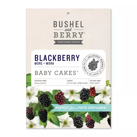 Berry and Blackberry Bushel Baby Cakes Fruit Trees & Plants