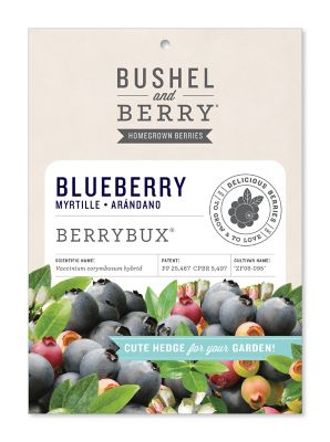 Bushel and Berry Blueberry BerryBux