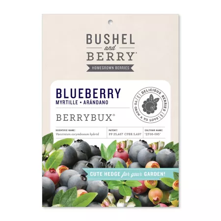 Bushel and berries Blueberry BerryBux Fruit Trees & Plants