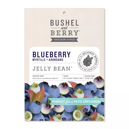 Blueberry Jelly Bean Bushel and Berries Fruit Trees & Plants