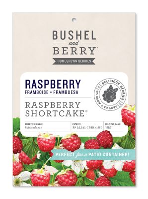 Bushel and Berry Raspberry Shortcake