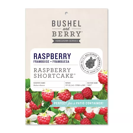 Raspberry bushel and berry shortcake Fruit Trees & Plants