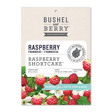 Bushel and Berry Raspberry Shortcake