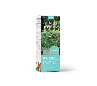 Image showing  Raspberry Shortcake