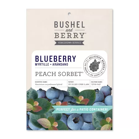 Bushel and berries Peach sorbet Blueberry Bare root plant Fruit Trees & Plants