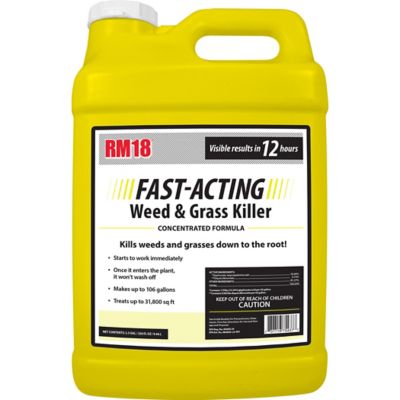 RM18 2.5 gal. Fast-Acting Grass and Weed Killer with Diquat