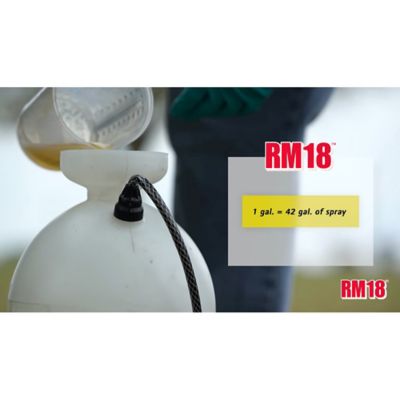 Image showing  2.5 gal. Fast-Acting Grass and Weed Killer with Diquat