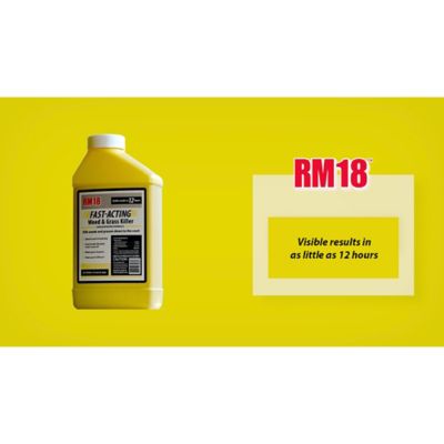 Image showing  2.5 gal. Fast-Acting Grass and Weed Killer with Diquat