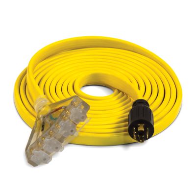 Champion Power Equipment 20 ft. 125/250V 30A Fan-Style Flat Generator Extension Cord, L14-30P to Four 5-20R