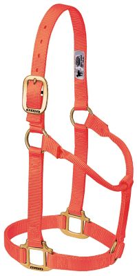 Product color Bright Orange