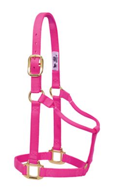 Product color Diva Pink