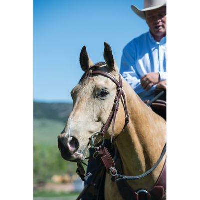 Image showing  Ken McNabb Slobber Straps, Canyon Rose