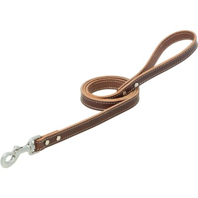 Terrain D.O.G. Bridle Leather Dog Leash, 06-2014-6