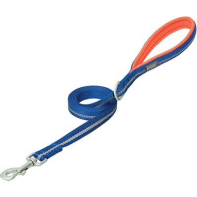 Image showing  Reflective Neoprene-Lined Dog Leash