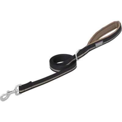 Image showing  Reflective Neoprene-Lined Dog Leash
