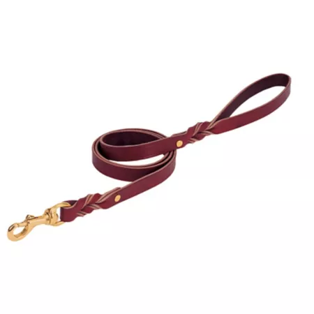 Weaver Leather Heritage Dog Leash with Twisted Latigo Leather 3/4-in x 6-ft Dog Basic Leashes