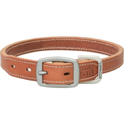 Terrain D.O.G. Buttered Harness Leather Hybrid Dog Collar