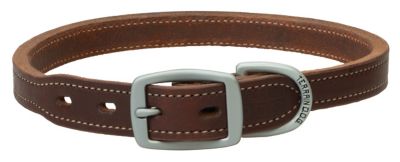 Terrain D.O.G. Oiled Harness Leather Hybrid Dog Collar