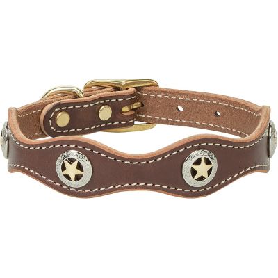 Weaver Leather Lone Star Legend Dog Collar
