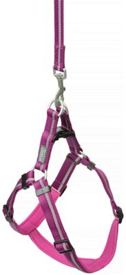 Image showing  Reflective Neoprene-Lined Dog Harness
