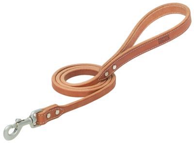 Terrain D.O.G. Buttered Harness Leather Hybrid Dog Leash