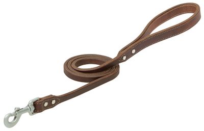 Terrain D.O.G. Hybrid Dog Leash with Oiled Harness Leather