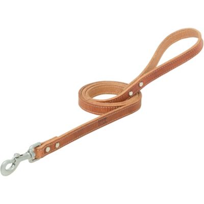 Terrain D.O.G. Harness Leather Dog Leash, 3/4 in.