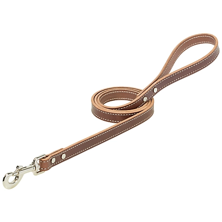 Weaver Leather Western Edge Dog Leash, Sunset Harness Leather