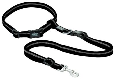 Terrain D.O.G. Reflective Jogging Dog Leash