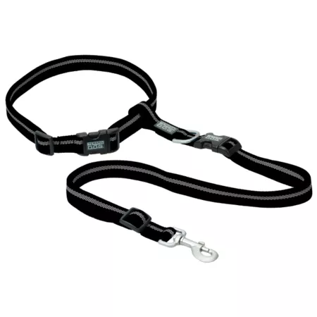 Land D.O.G Reflective jogging dog leash Dog Hands Free Leashes