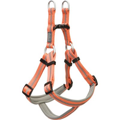 Terrain D.O.G. Reflective Neoprene-Lined Dog Harness