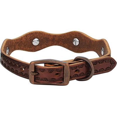 Image showing  Sundance Dog Collar, 3/4 in.